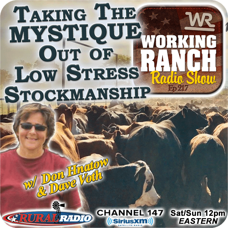 Ep 217: Taking The Mystique Out of Low Stress Stockmanship w Dawn Hnatow