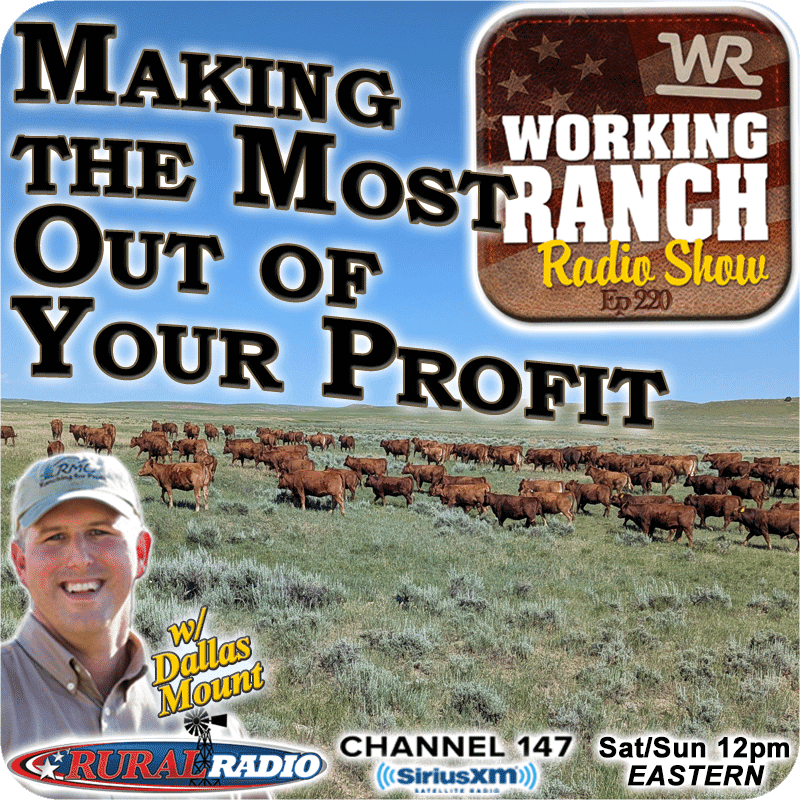Ep 220: Making the Most Out ofYour Profit with Dallas Mount