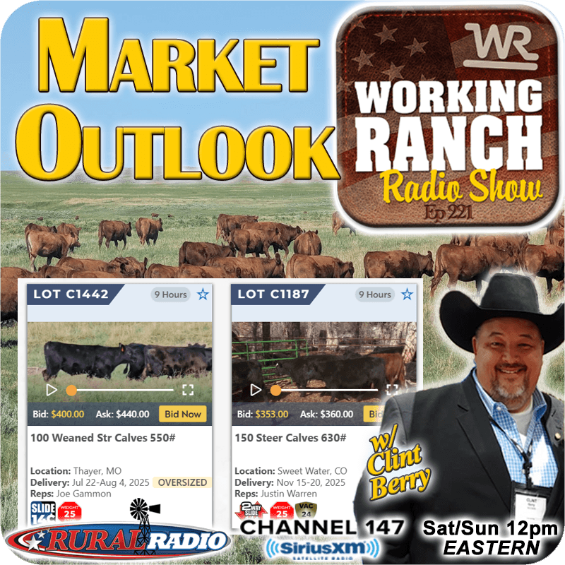 Ep 221: Week in the Rockies Recap: Key Takeaways & Market Outlook w/ Clint Berry