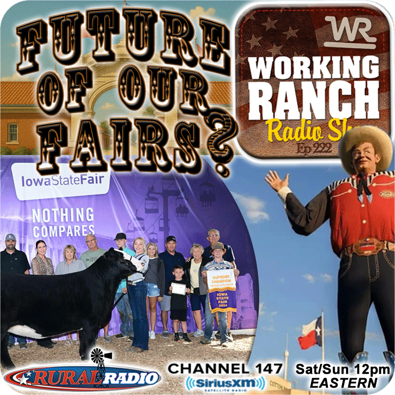 Ep 222: The Future of the Fair: Why County and State Fairs Are at a Crossroads