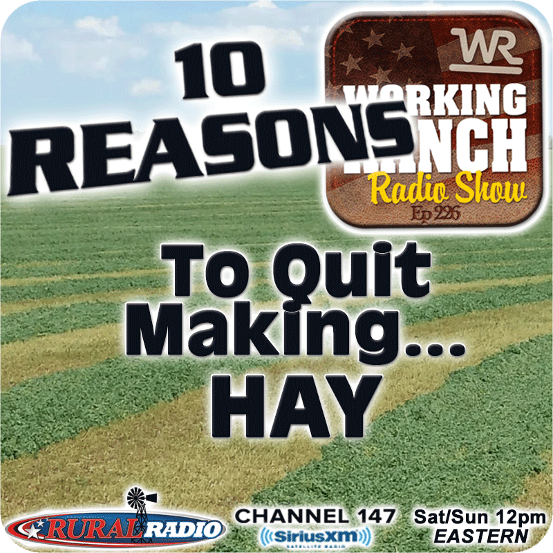 Ep 226: Ten Reasons You Should Quit Making Hay