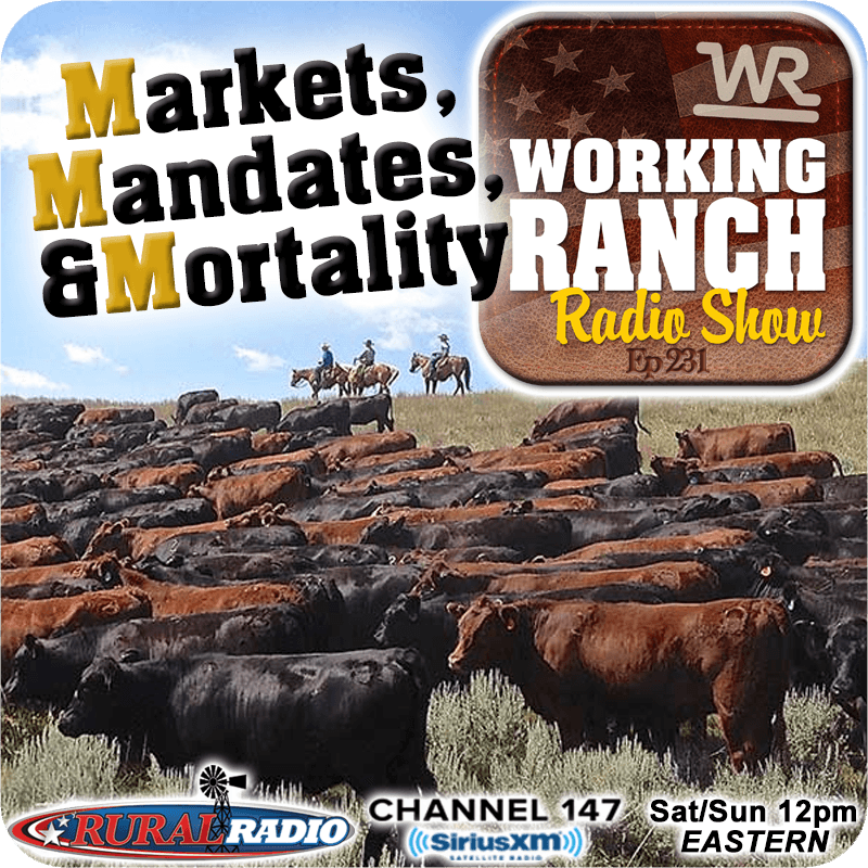 Ep 231: Markets, Mandates, and Mortality w/ Dr. Nevil Speer