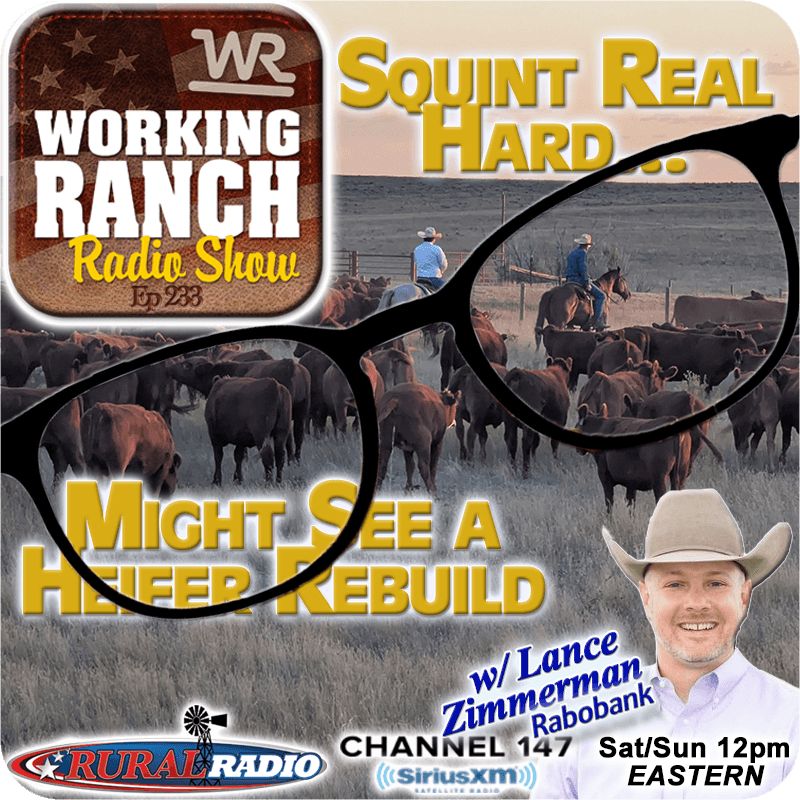 Ep 233: Squint Real Hard… and You Might See a Rebuild w Lance Zimmerman