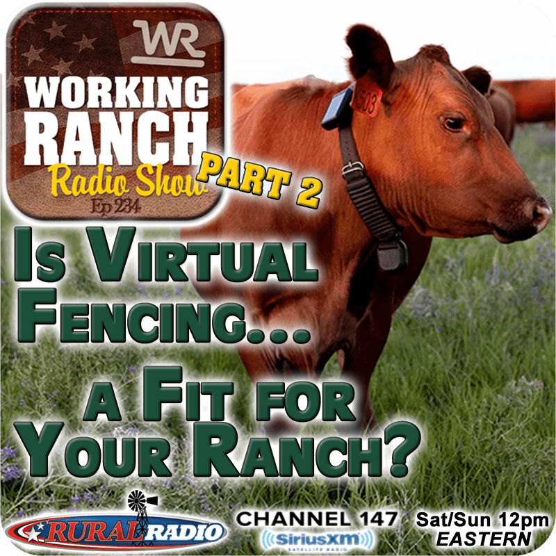 Ep 235: Part 2 - Is Virtual Fencing a Fit for Your Ranch?