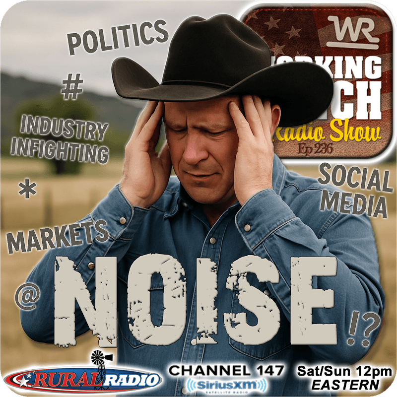 Ep 236: Cutting Through the Noise w/ Allan Crockett