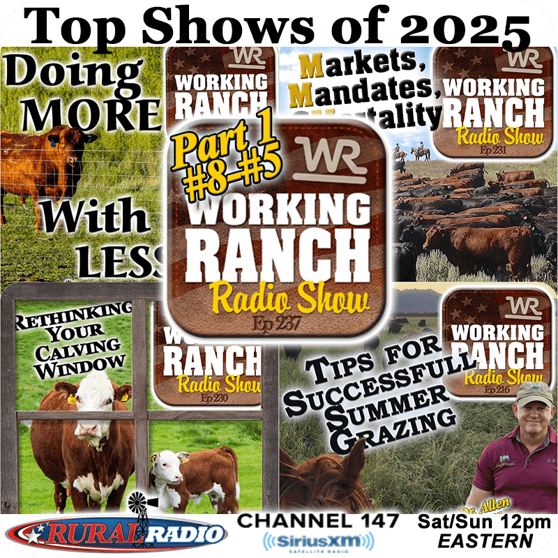 Ep 237: Top Shows of 2025 Part 1: Highlights from #8–#5