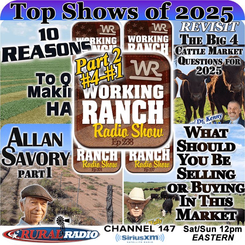Ep 238: Top Shows of 2025 Part 2: Highlights from #4–#1