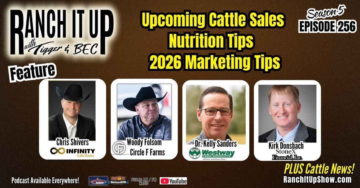 Upcoming Cattle Sales, Nutrition Tips, and Marketing Insights For 2026