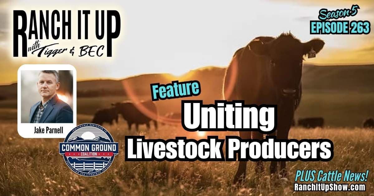 Common Ground Coalition: Uniting Livestock Producers