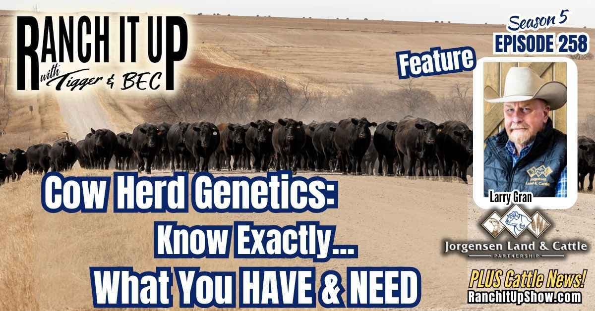 Cow Herd Genetics: Know Exactly What You Have & Need And Record Cattle Prices