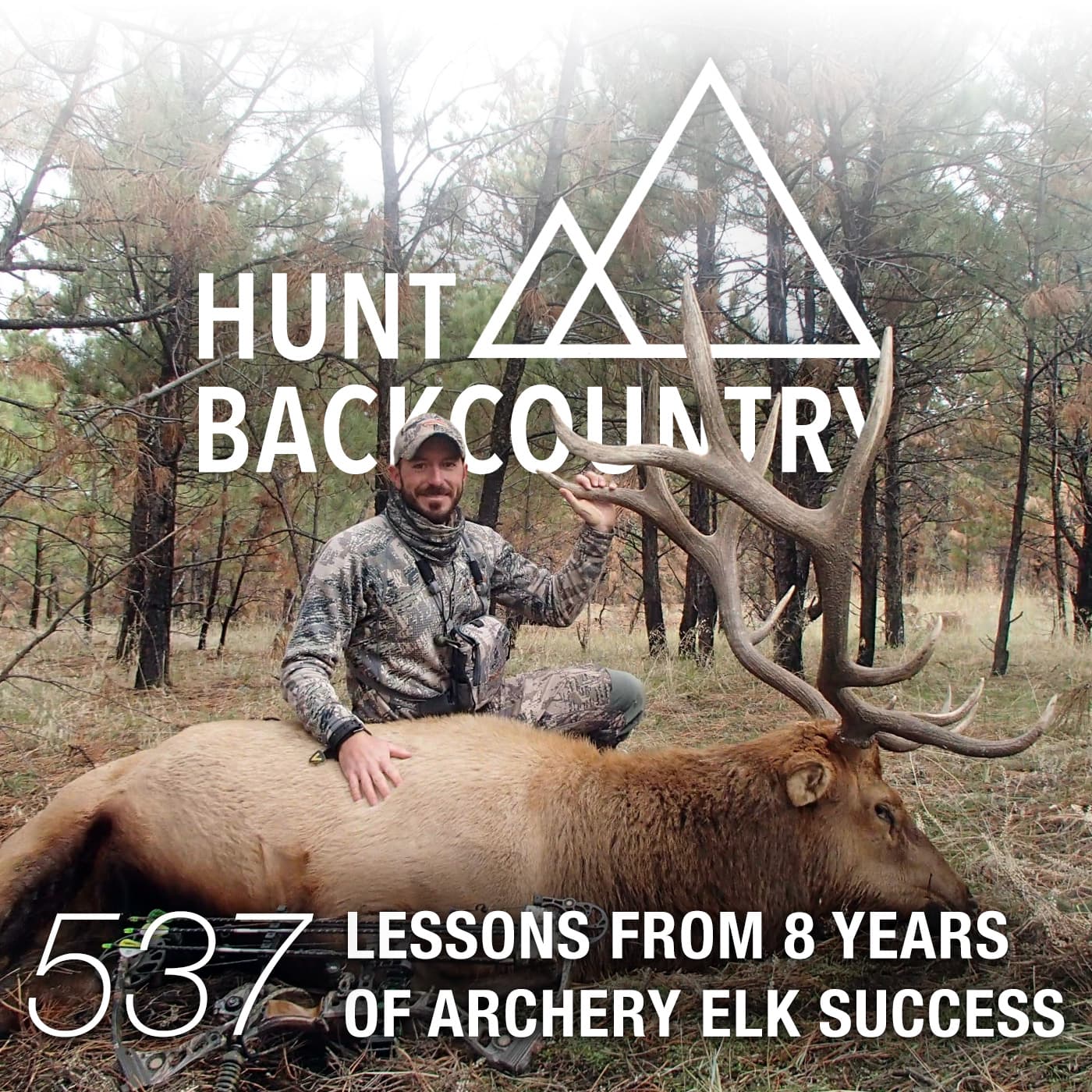 537 | Lessons from 8 Years of Archery Elk Success