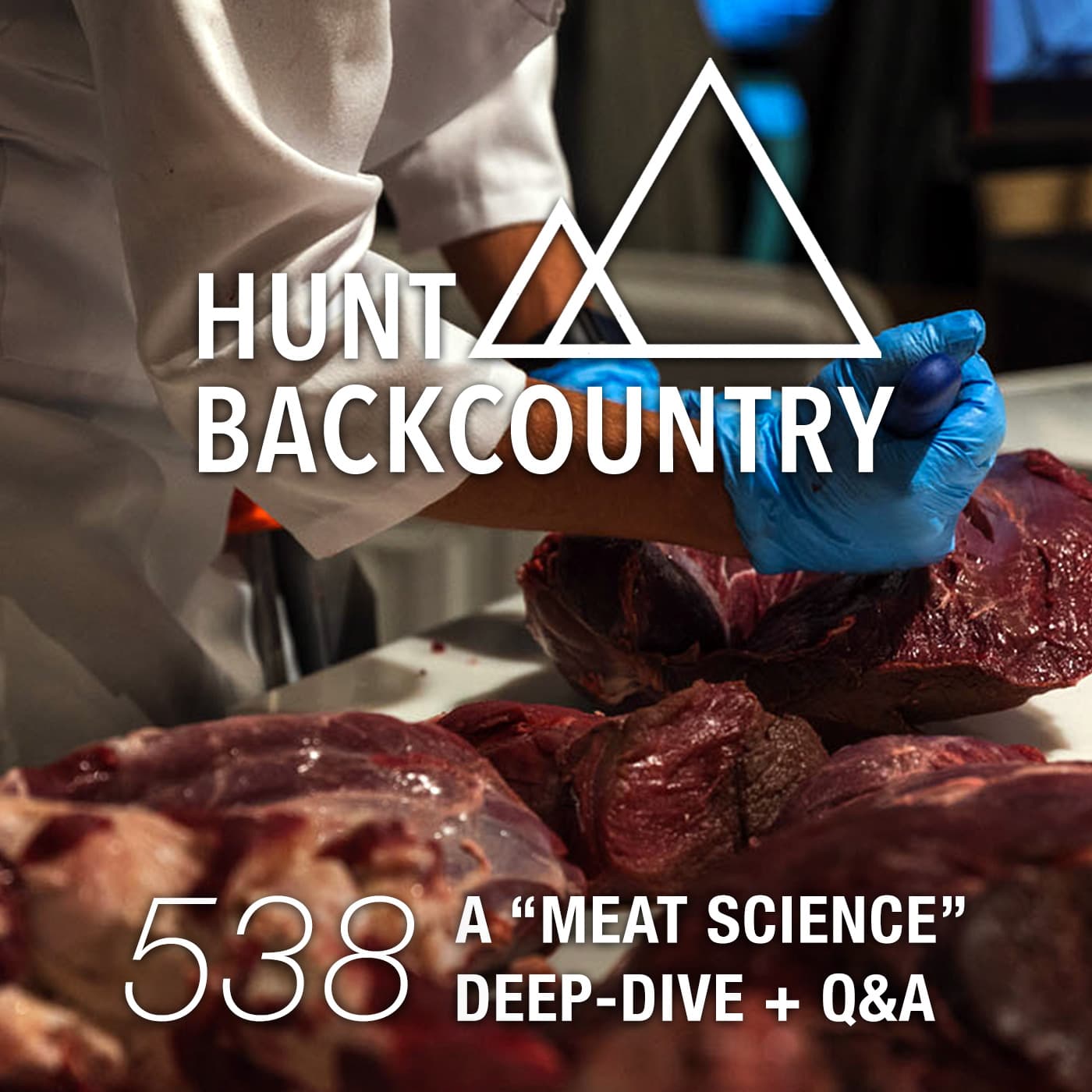 538 | A Meat Science Deep-Dive + Q&A