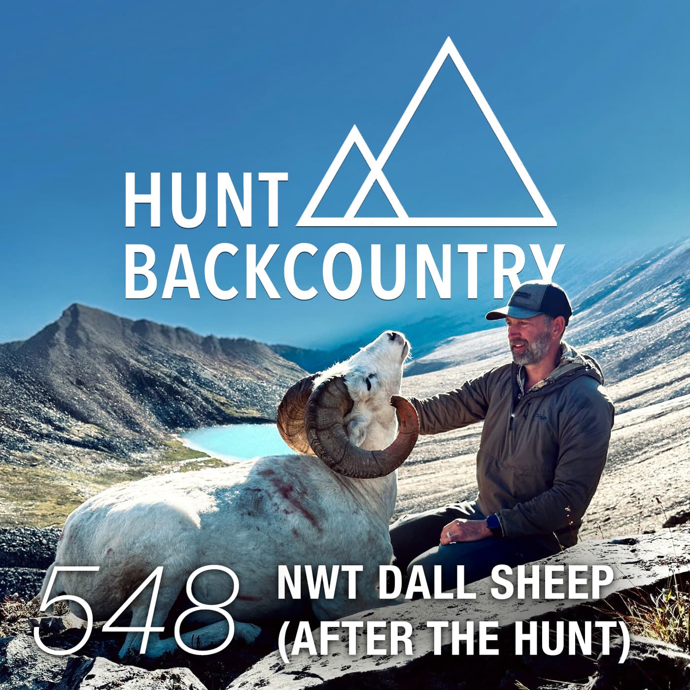 548 | NWT Dall Sheep (After the Hunt)