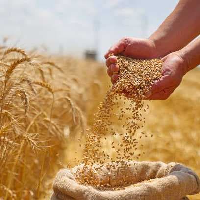 FASTING with PRAYERS | NOVEMBER • 2️⃣0️⃣2️⃣5️⃣ 🔥 [HARVESTS FOR ENLARGEMENT • Day 7]
