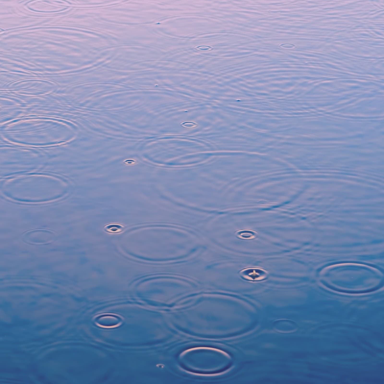 Indigo Rain ~ Deep Sleep Music and Gentle Rain