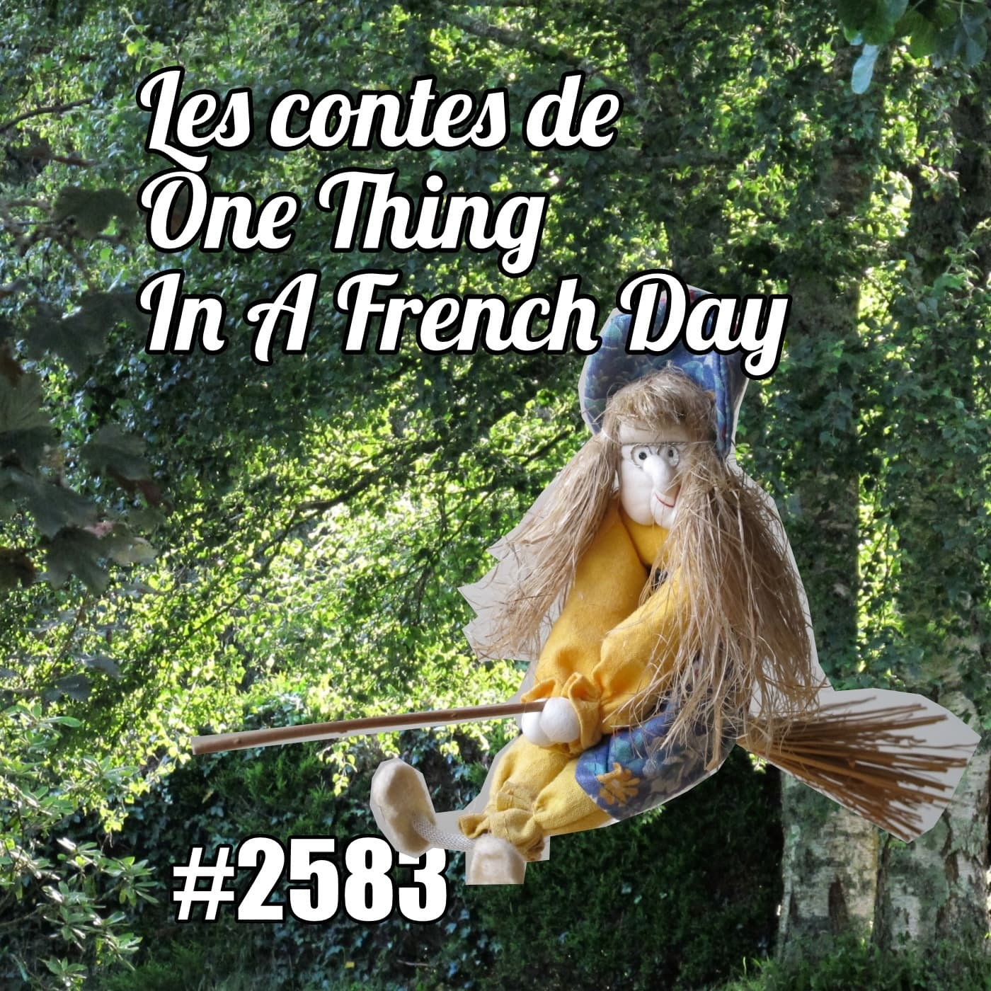 Quel est donc cet arbre magique? Demandez à la sorcière (Contes de Noël)