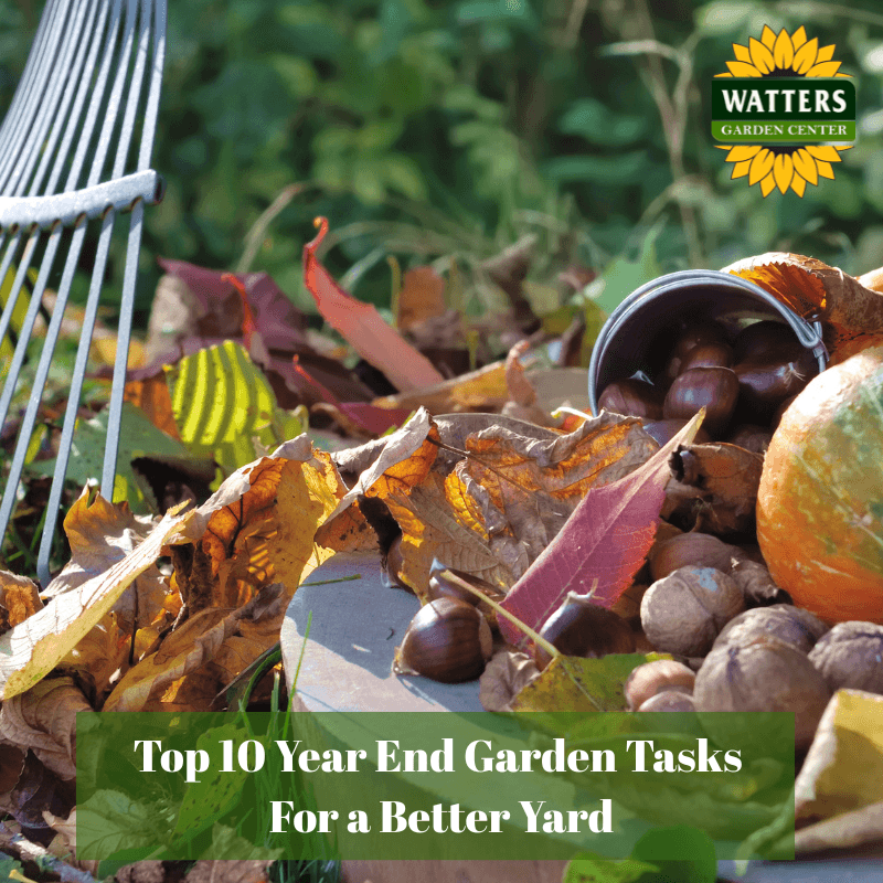 👨‍🌾 Top 10 Year End Garden Tasks for a Better Yard