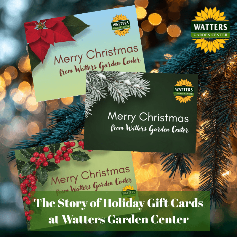 🎁 The Story of Holiday Gift Cards at Watters Garden Center