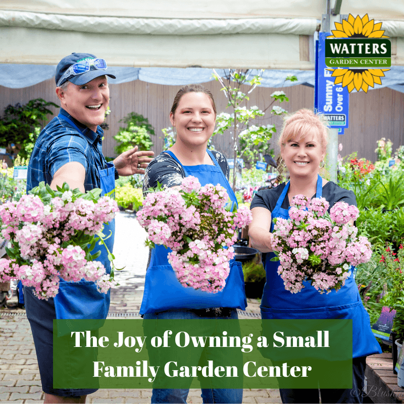 🎁 The Joy of Owning a Small Family Garden Center