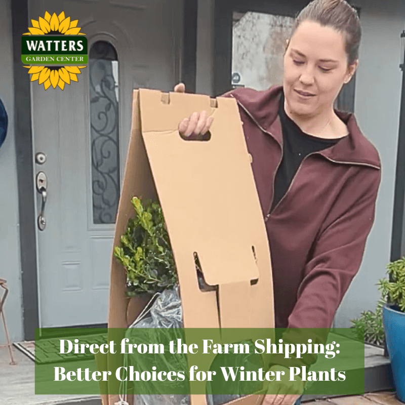 🎁 Direct from the Farm Shipping for Better Plant Choices