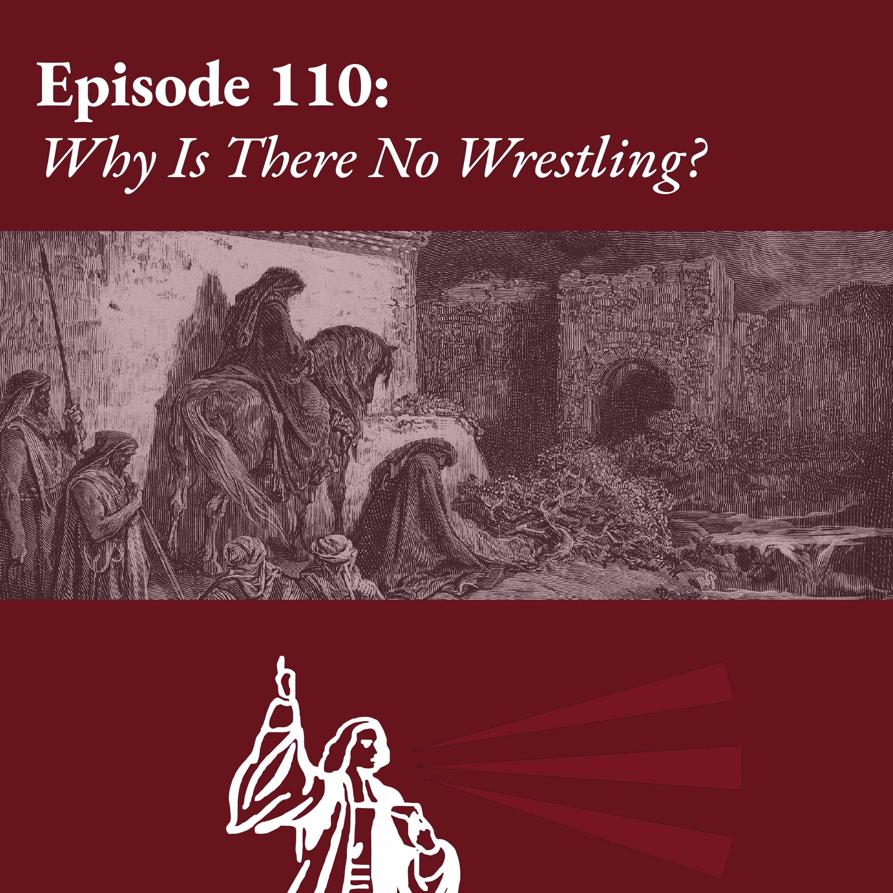 Why Is There No Wrestling?