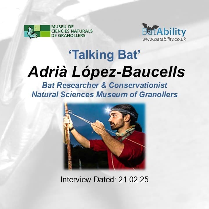 Talking Bat with Adria Lopez-Baucells (Researcher & Author)