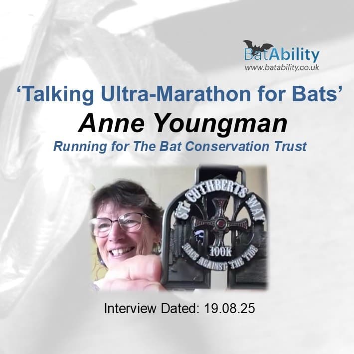Talking Ultra-Marathon for Bats with Anne Youngman