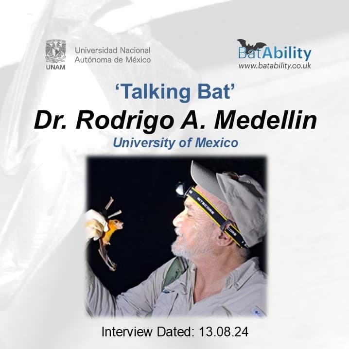 Talking Bat with Dr. Rodrigo A. Medellin (The Bat Man of Mexico)