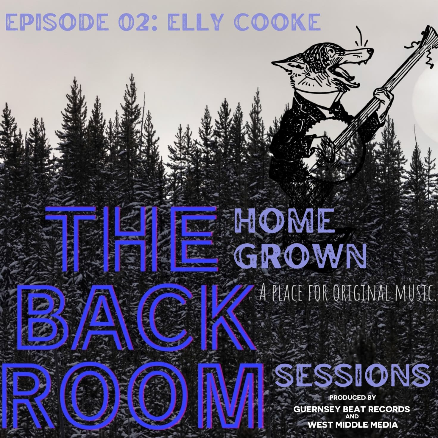 The Homegrown Back Room Sessions Episode 02  Elly Cooke