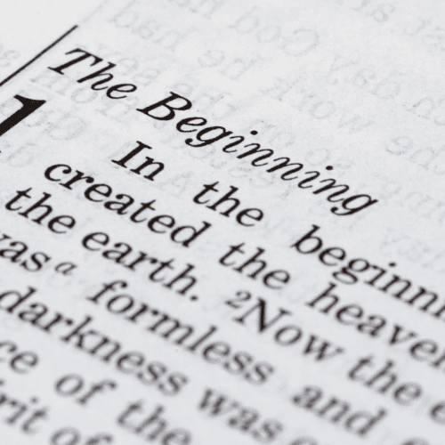 N5 RMPS: Origins and Genesis 1