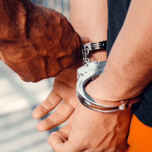 N5RMPS: Morality and Justice - Protection
