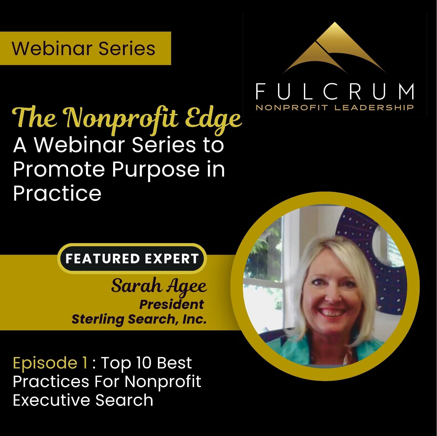 The Nonprofit Edge: A Conversation with Sarah Agee - Episode 1