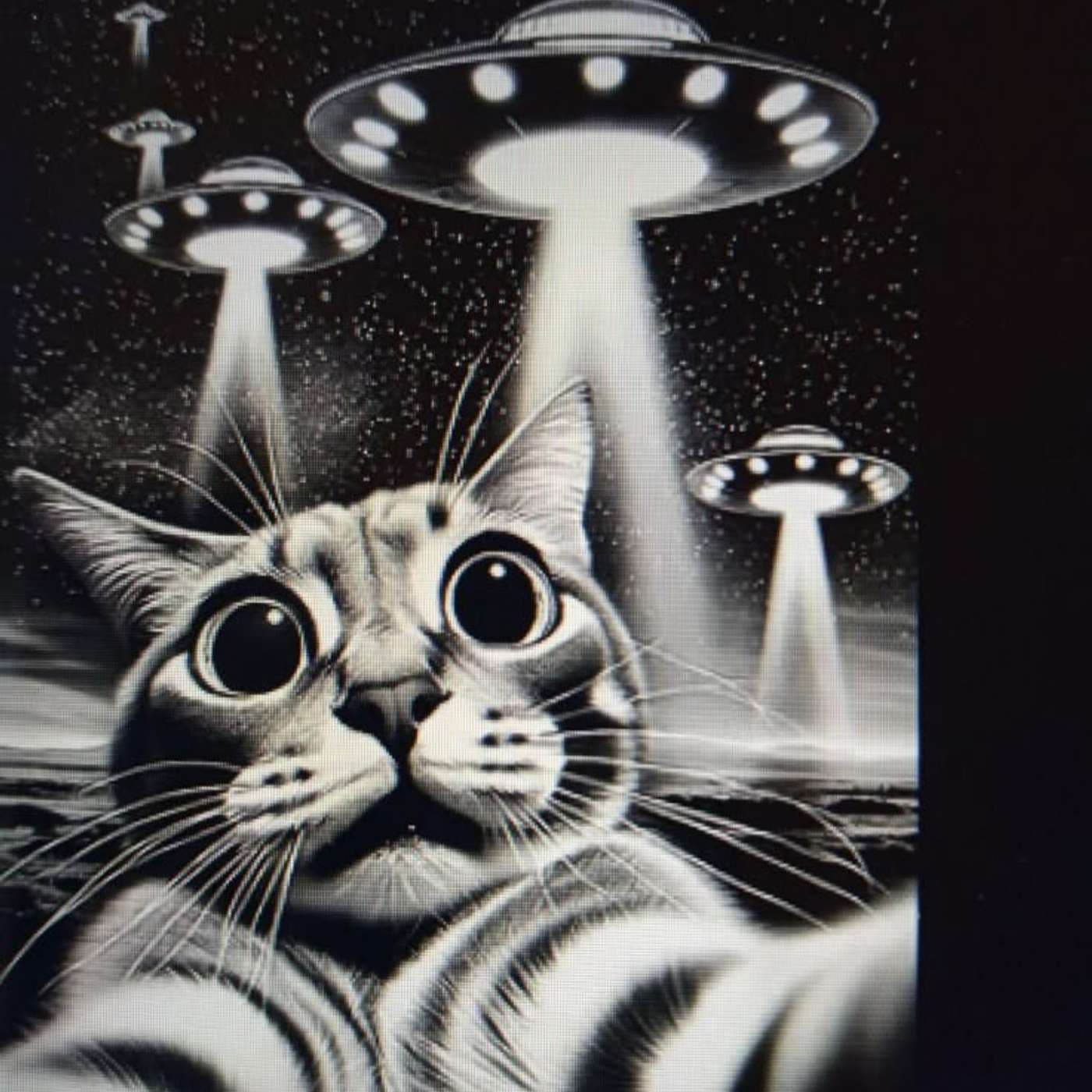 Alien Black Cats