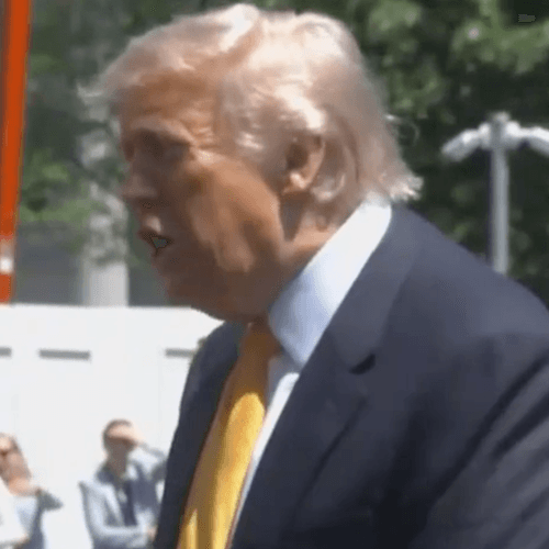 Donald Trump, Climate Warrior