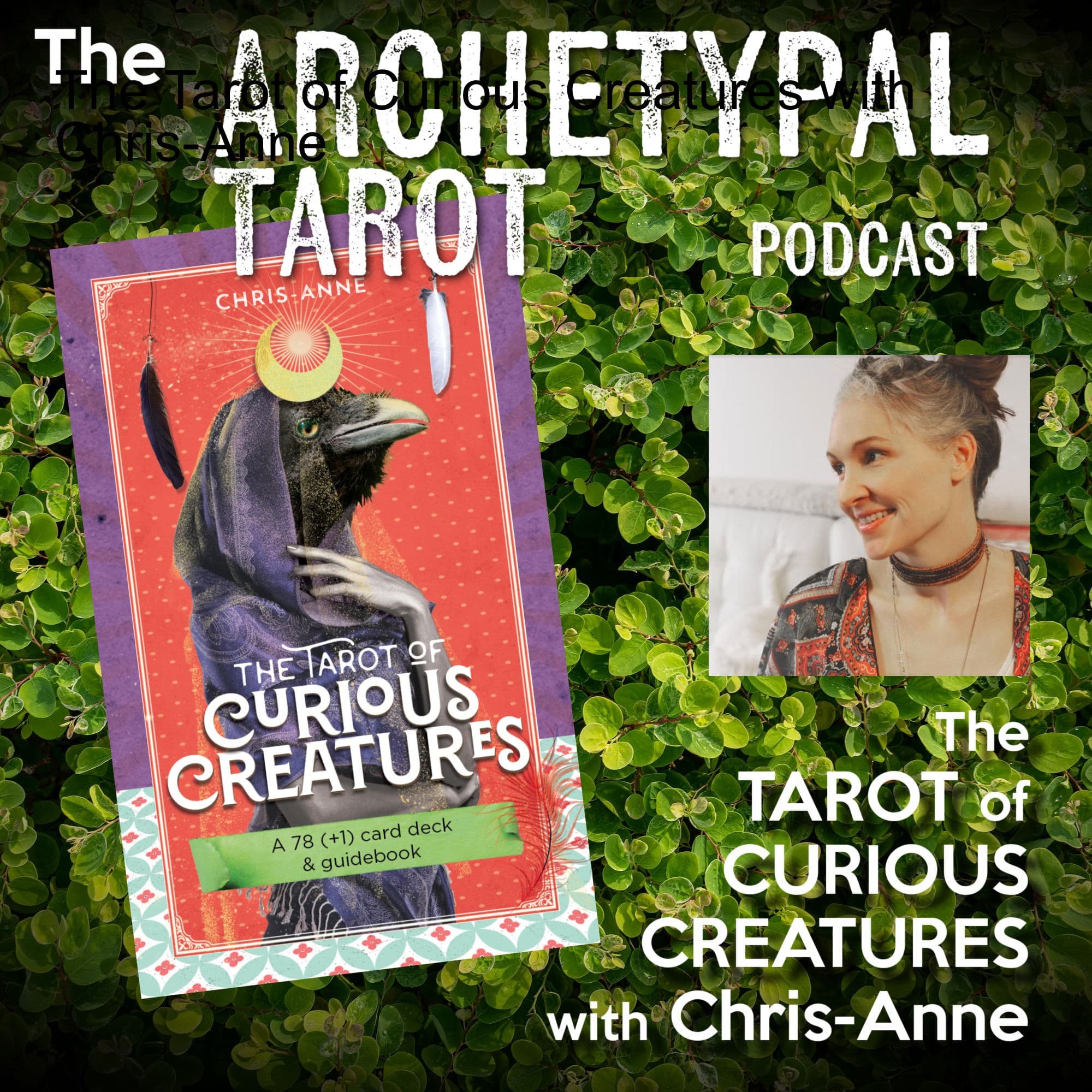 The Tarot of Curious Creatures with Chris-Anne