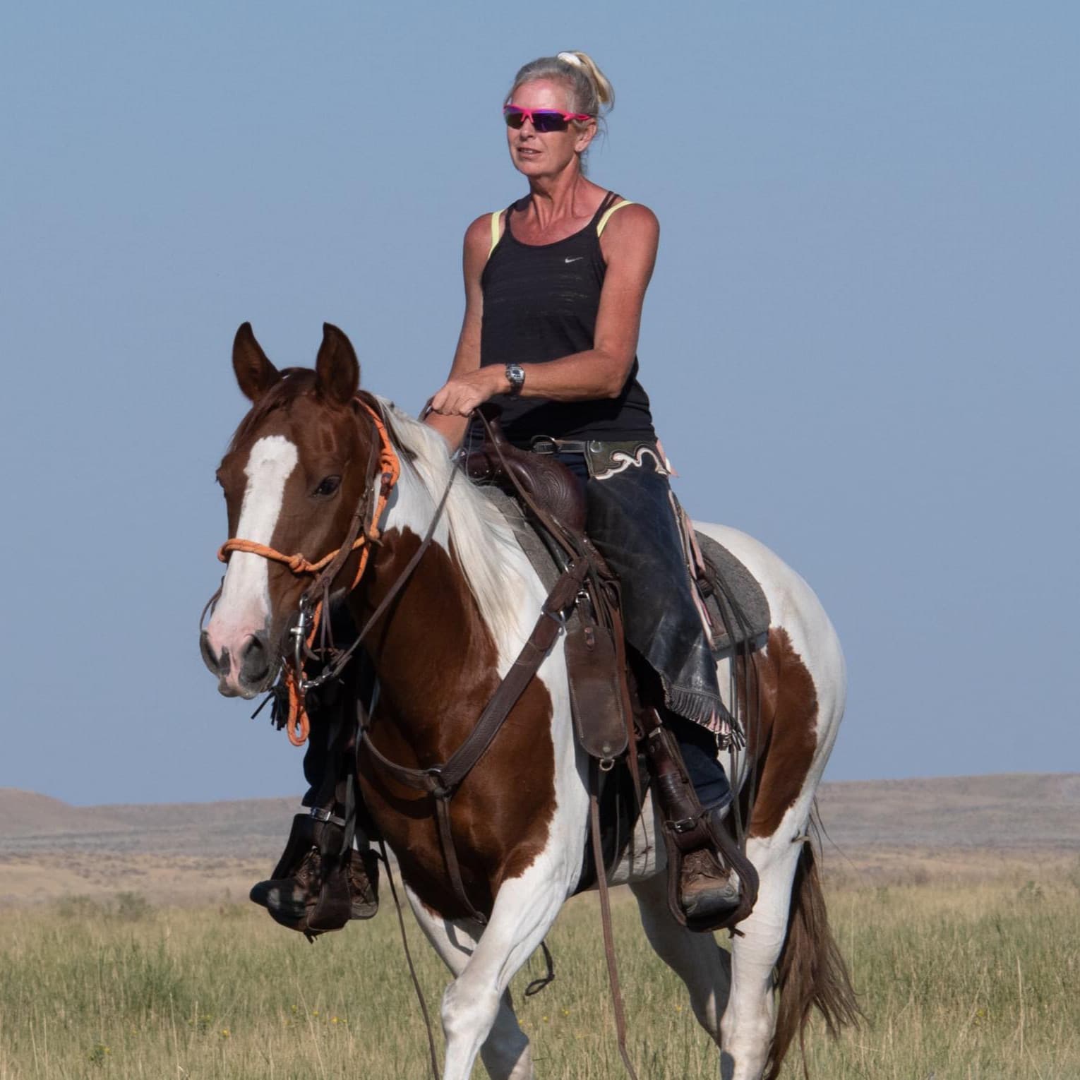 Summer camp! Bird hunter, trainer, trialer on how they complement the other, plus travel tips, steadiness, and porcupines!