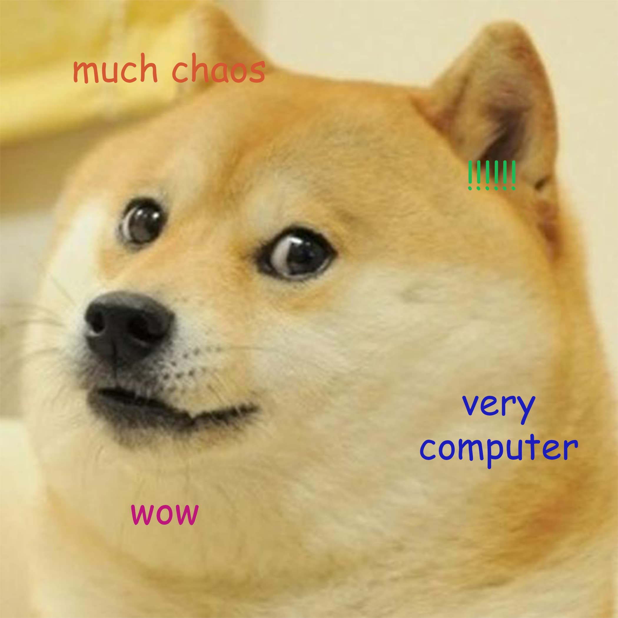262 - DOGE Style