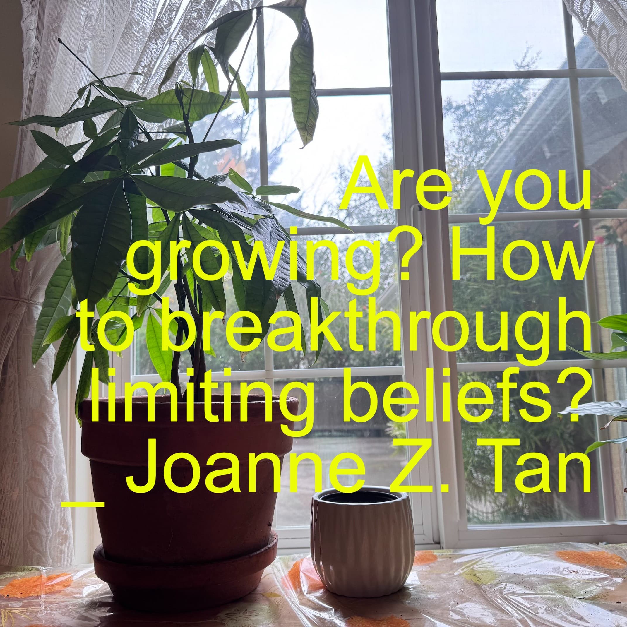 How to Grow (or Shrink) in the New Year - Overcome Your Self Limiting Beliefs_Joanne Z. Tan_Season 2, Episode 43