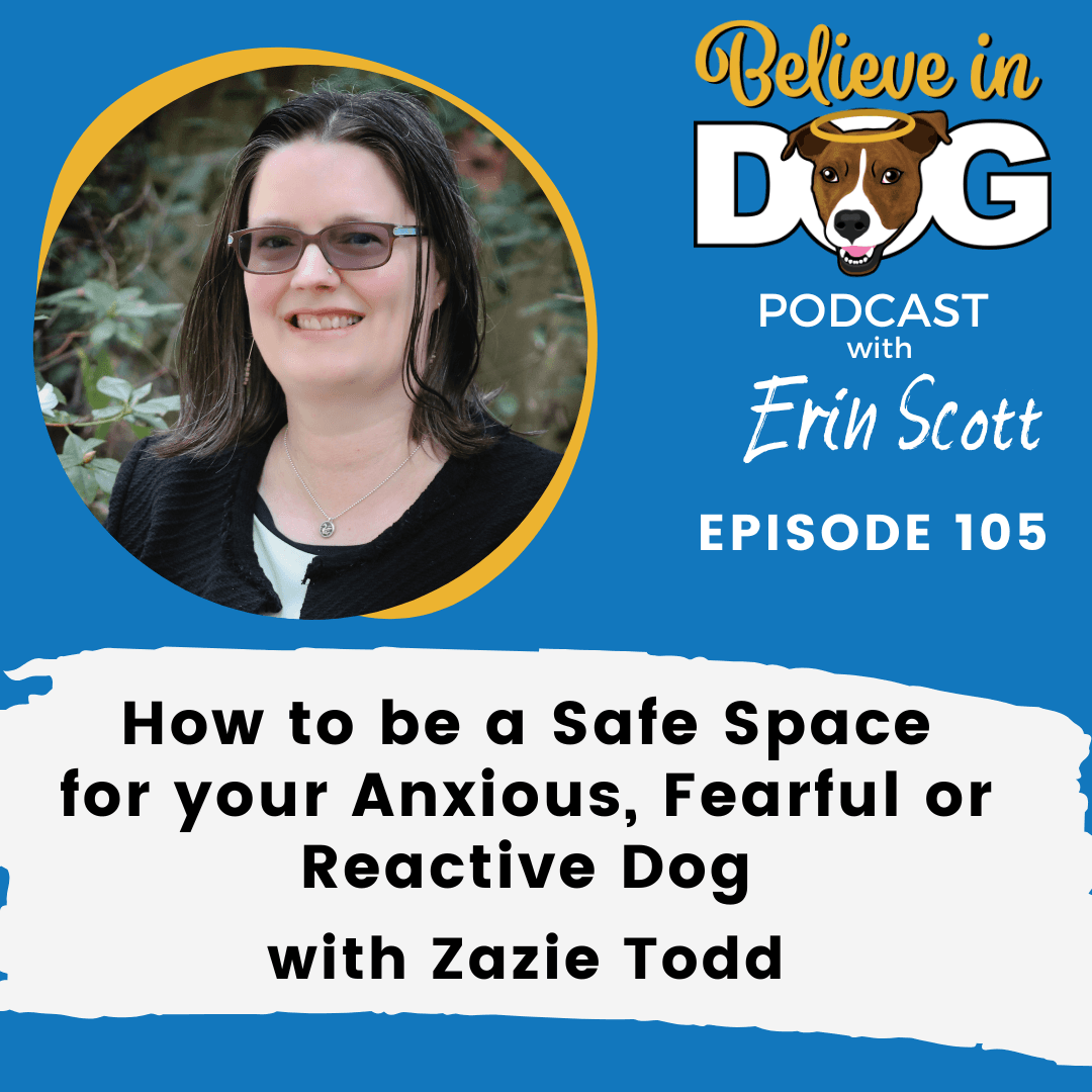 How to be a Safe Space for Your Anxious, Fearful or Reactive Dog with Zazie Todd