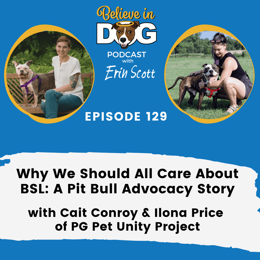 Why we should all care about BSL: A Pit Bull Advocacy Story with Cait Conroy and Ilona Price of PG Pet Unity Project