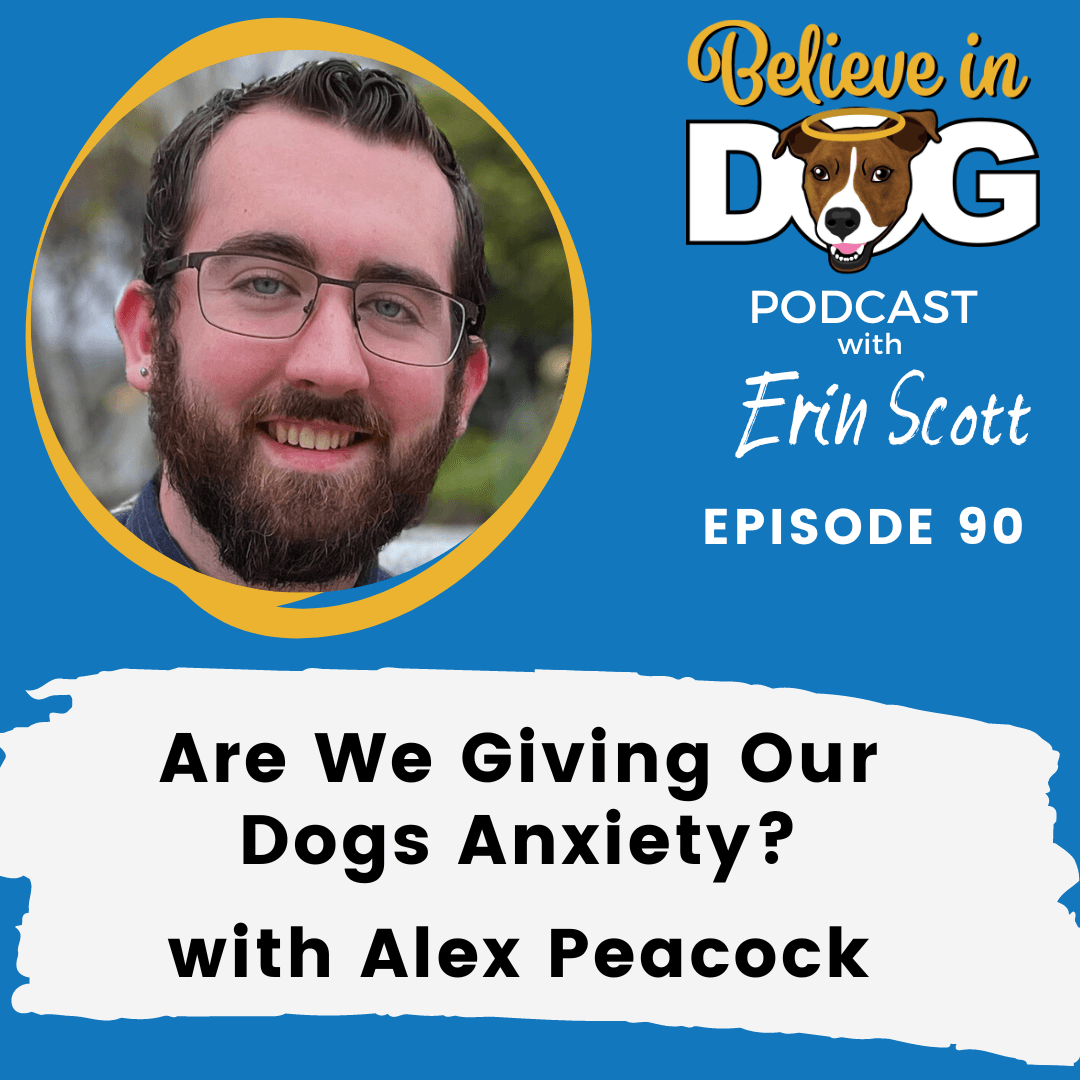 Are We Giving Our Dogs Anxiety?  with Alex Peacock
