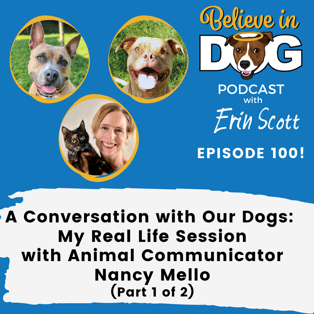 A Conversation with My Dogs: Our Real Life Session with Animal Communicator Nancy Mello (Part 1 of 2)