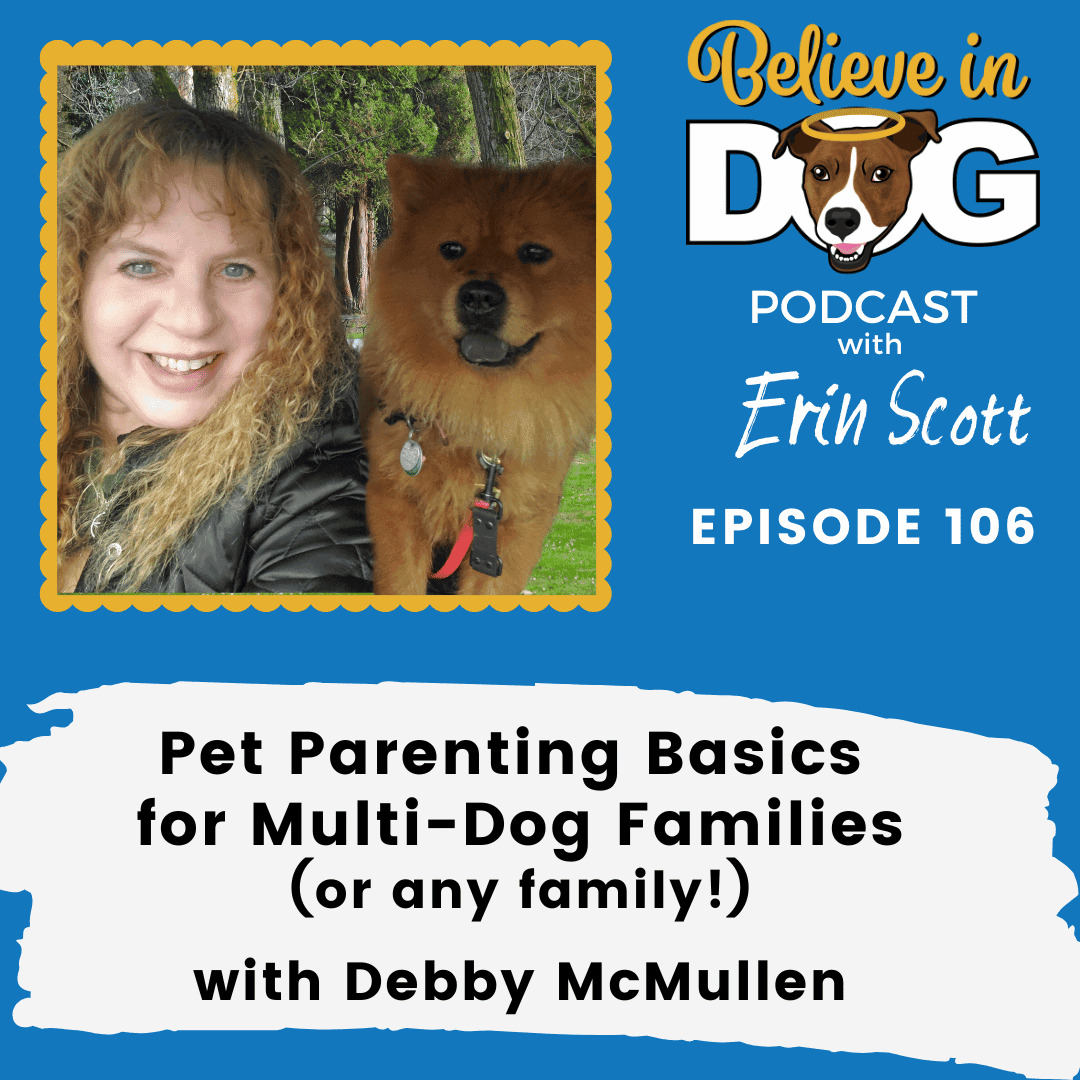 Pet Parenting Basics for Multi-Dog Families (or any family!) with Debby McMullen