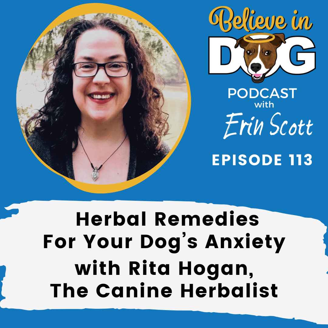 Herbal Remedies for Your Dog’s Anxiety with Rita Hogan, the Canine Herbalist
