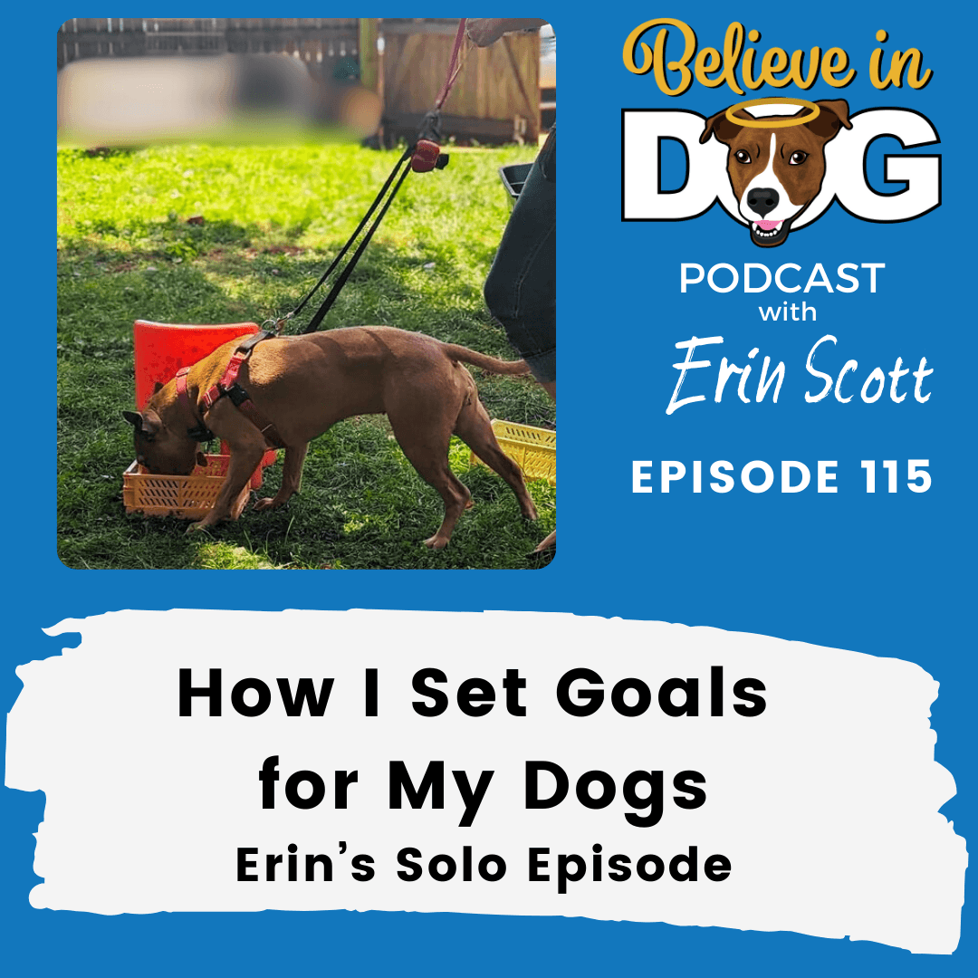 How I Set Goals for My Dogs