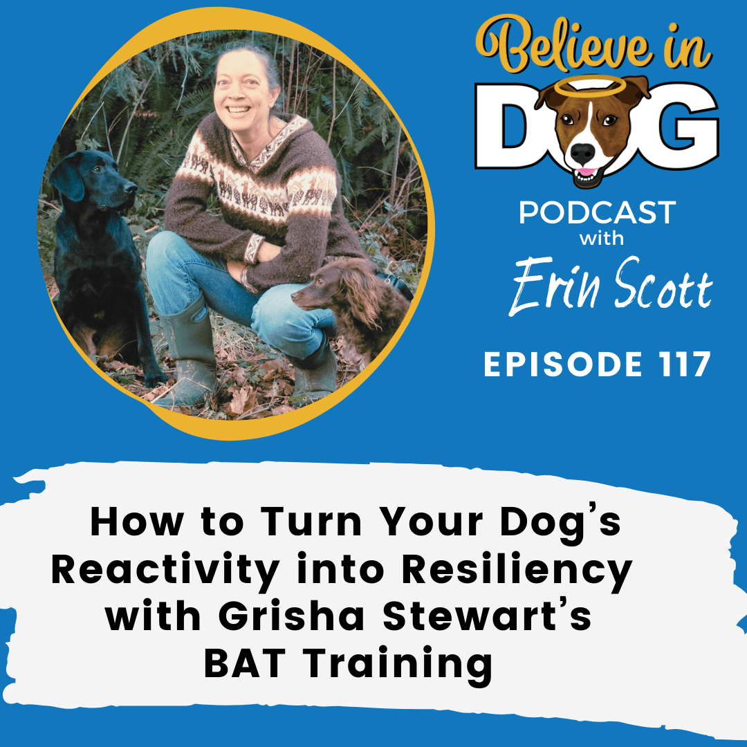 How to Turn Your Dog’s Reactivity into Resiliency with Grisha Stewart’s BAT Training