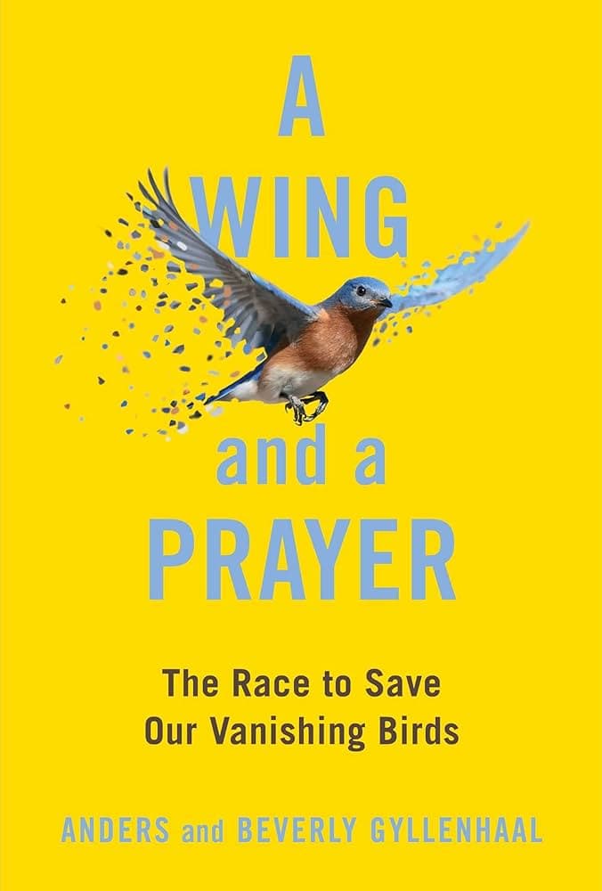 The Race to Save Our Vanishing Birds: Interview with Book Author Anders Gyllenhaal