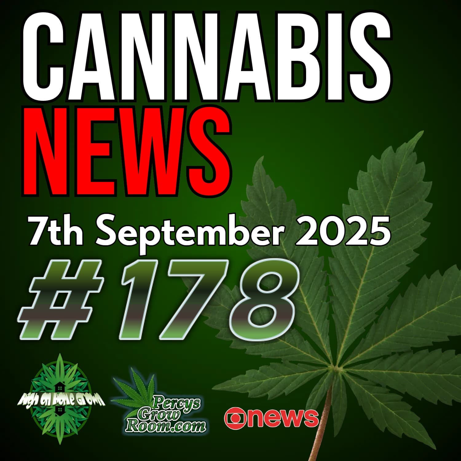 Self-Medication Leads to Cannabis Dealing | Thailand Elects Cannabis-Friendly PM | Prenatal Cannabis Study | Switzerland Legalisation Plans | Massachusetts Ballot Move | Cannabis News Ep. 178