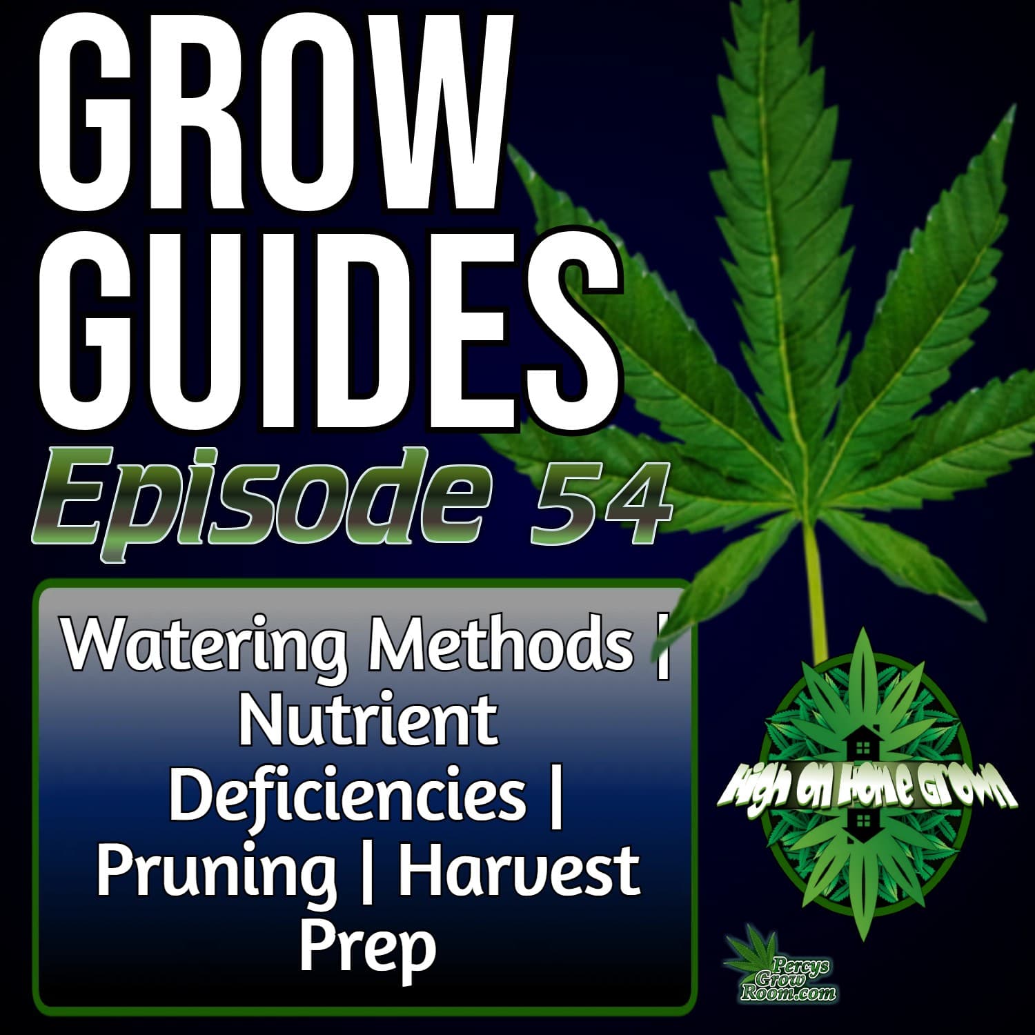 How to Grow Cannabis: Q&A on Watering Cannabis Plants, Nutrient Deficiencies, Defoliation Practises & Pre-Harvest Prep | Grow Guides Ep. 54
