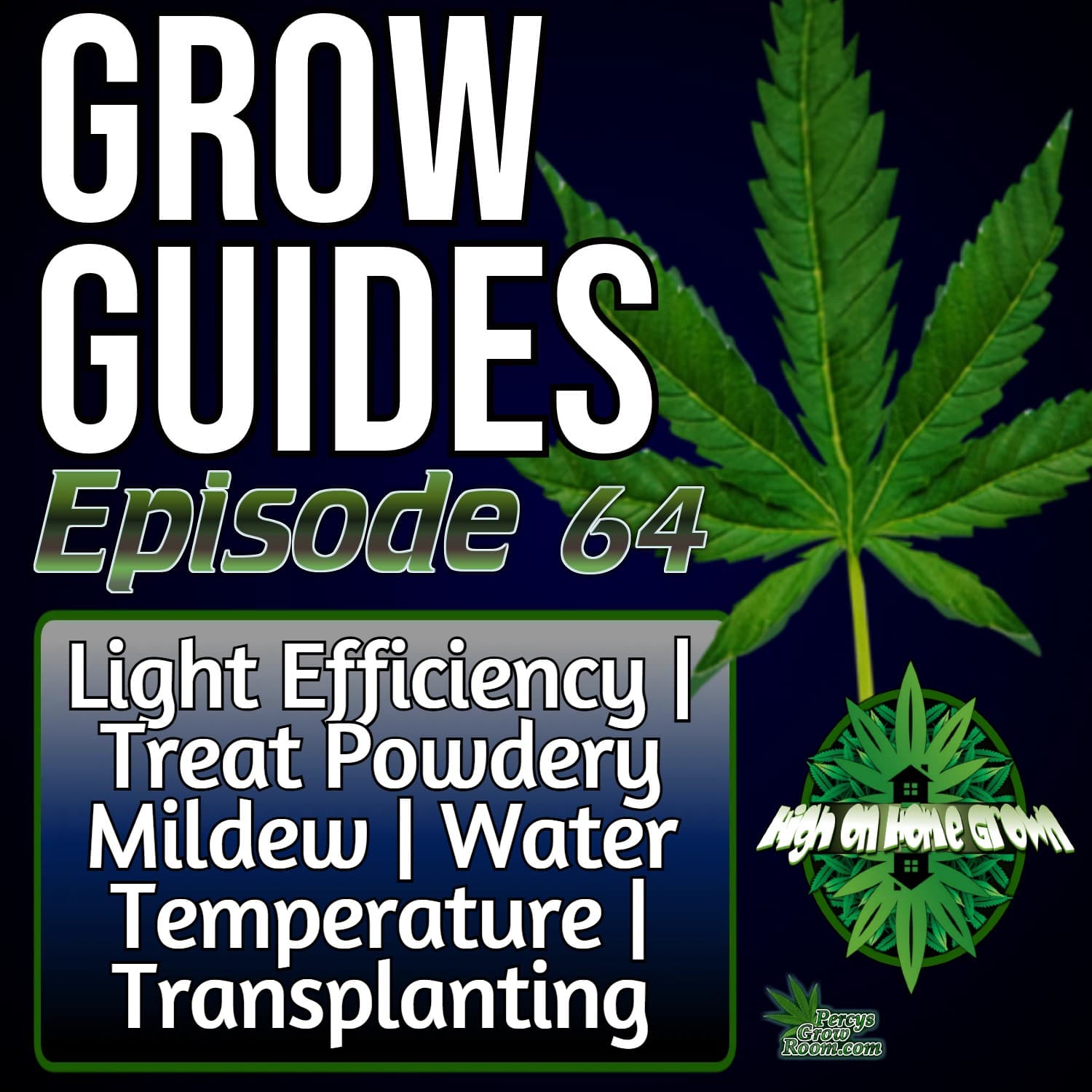 How to Maximise Light Efficiency | Prevent Powdery Mildew | Control Water Temps | Stress-Free Transplanting | With Chad Westport, Grow Guides Ep. 64